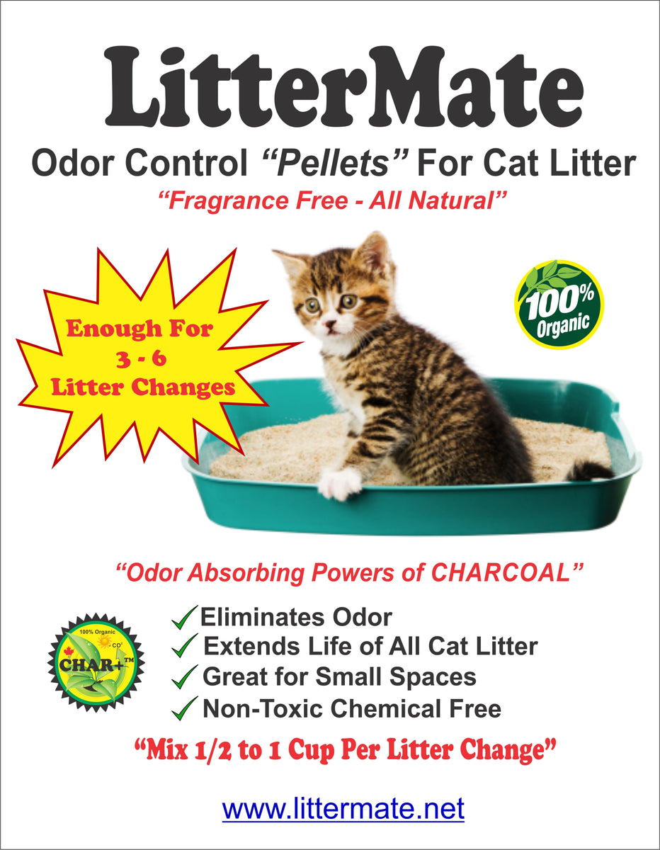 Biochar shop cat litter